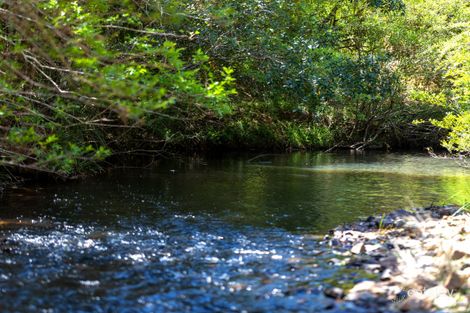 204 Beech Rd, Elands, NSW 2429