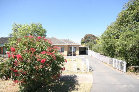 Property photo of 3 Elsie Street Netley SA 5037