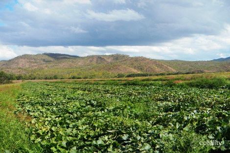 235 Mcleod Rd, Mutchilba, QLD 4872