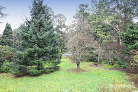 262 Belgrave-Gembrook Rd, Menzies Creek, VIC 3159