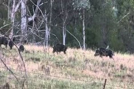 3714 Tallebung Rd, Eremerang, NSW 2877