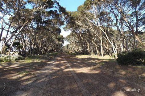 Property photo of 264 Doug Road Dudley East SA 5222