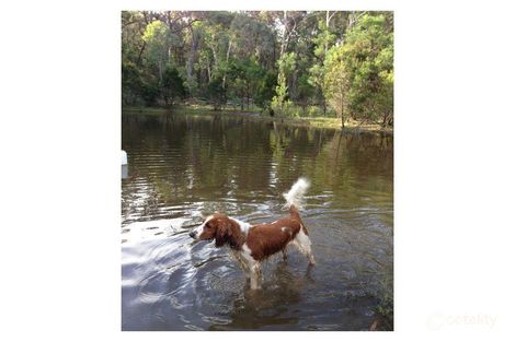 126 Jerralong Rd, Oallen, NSW 2622