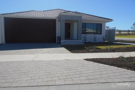 29 Needletail Ave, Alkimos, WA 6038