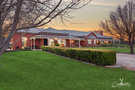Property photo of 252 Tarcoola Street Renmark West SA 5341