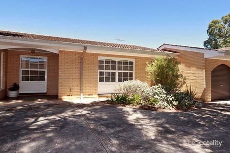 2/4 Torrens St, Mitcham, SA 5062