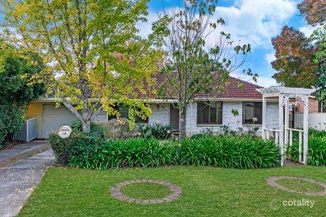 Property photo of 12 Alawa Avenue Modbury North SA 5092