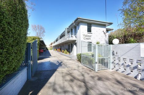 10/6 Walnut St, Carnegie, VIC 3163