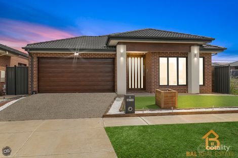 Property photo of 6 Genoa Chase Cobblebank VIC 3338