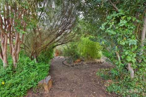 Property photo of 266 Bromley Road Robinvale VIC 3549