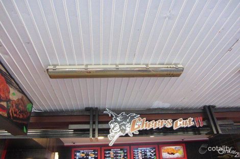 Property photo of 109 John Street Cabramatta NSW 2166