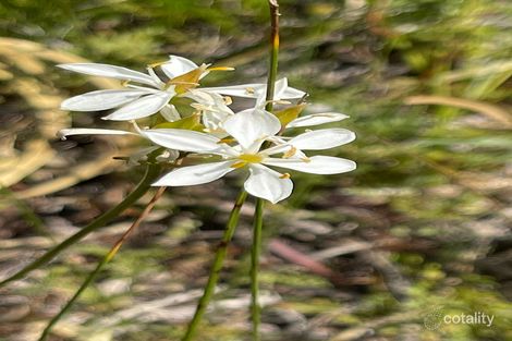 Property photo of 41 Lukin Road Clackline WA 6564