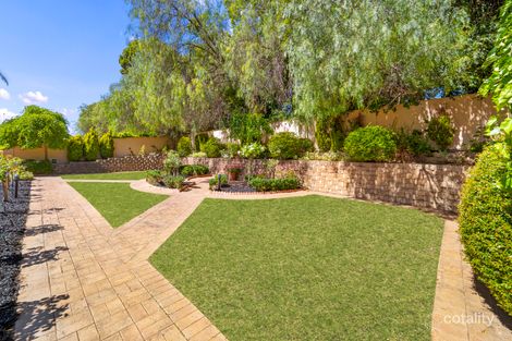 Property photo of 19 Coreega Avenue Springfield SA 5062