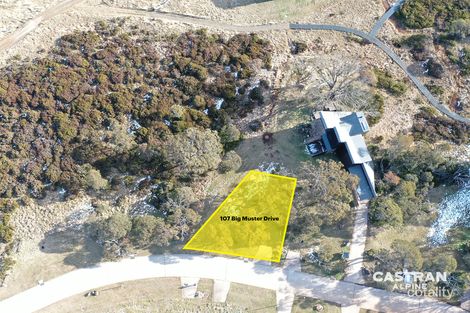 107 Big Muster Dr, Dinner Plain, VIC 3898