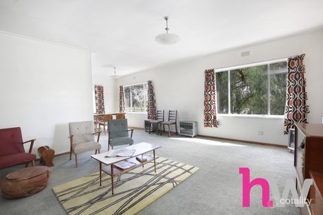 Property photo of 53 Barrabool Road Belmont VIC 3216