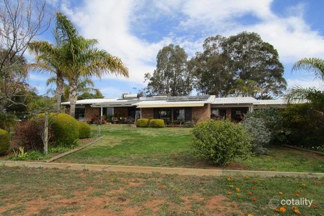 Property photo of 59 Cant Road Barmera SA 5345