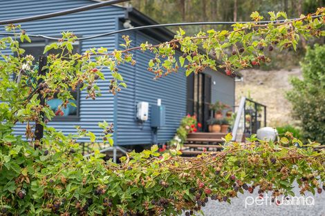Property photo of 713 Lachlan Road Lachlan TAS 7140