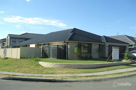 20 Tuckeroo Cct, Adamstown, NSW 2289