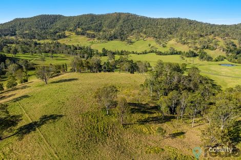 373 Theresa Creek Rd, Theresa Creek, NSW 2469