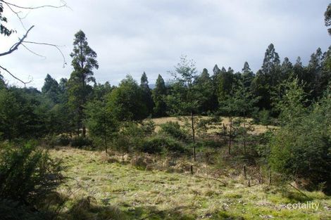 Property photo of 83 Robertson Road Lachlan TAS 7140