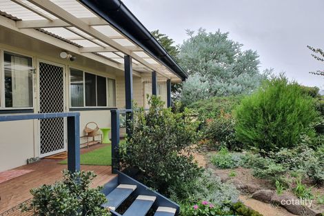Property photo of 8 Ailanthus Street Killarney QLD 4373
