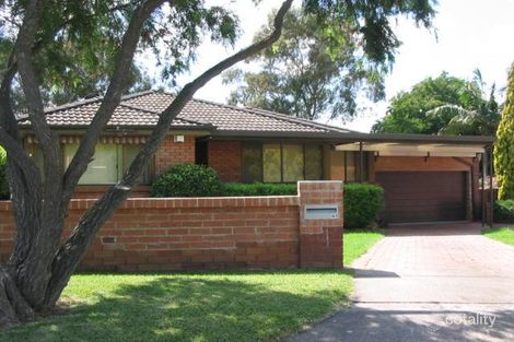 Property photo of 41 Holley Road Beverly Hills NSW 2209