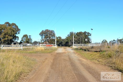 Property photo of 81 Lyons Street Warwick QLD 4370