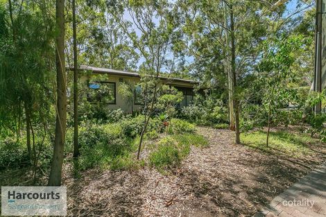 Property photo of 53 Bowen Road Tea Tree Gully SA 5091