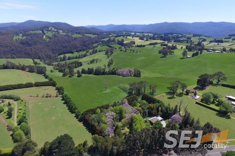 2875 Main Neerim Rd, Neerim Junction, VIC 3832