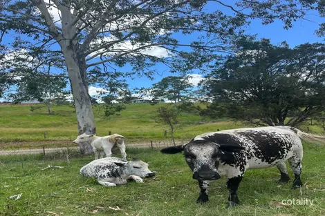 55 Kewins Rd, Glastonbury, QLD 4570