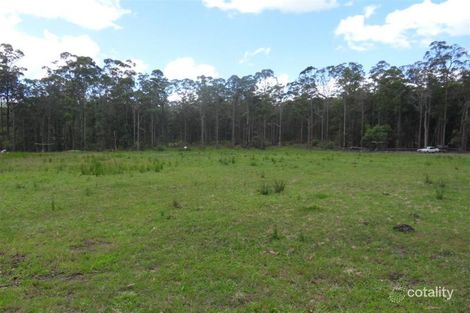 862 Markwell Back Rd, Markwell, NSW 2423