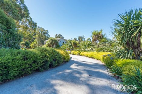 Property photo of 31 Bradys Lookout Road Rosevears TAS 7277