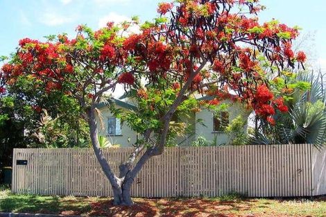 36 Halstead St, Gulliver, QLD 4812