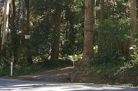 2194 Springbrook Rd, Springbrook, QLD 4213