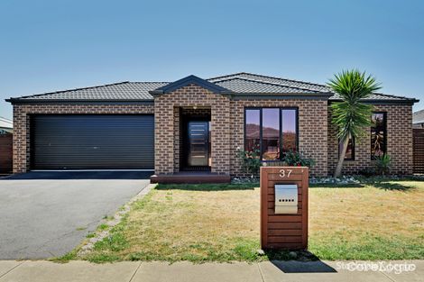 Property photo of 37 Oxbow Avenue Shepparton VIC 3630