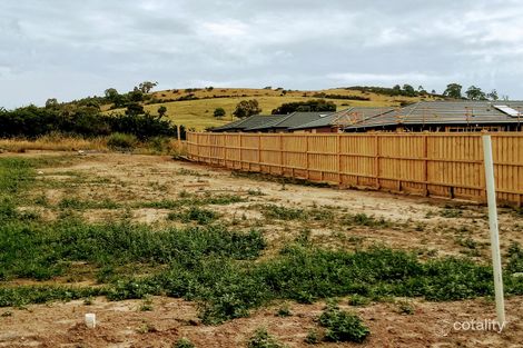 Property photo of 16 Nimble Street Mernda VIC 3754