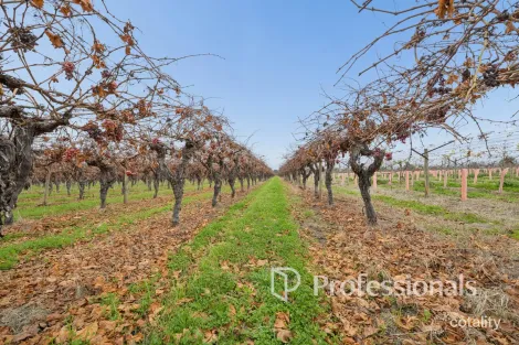77 Milne Bay Rd, Robinvale, VIC 3549