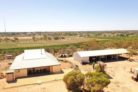 Property photo of 497 Mackintosh Road Cadell SA 5321