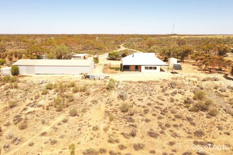 Property photo of 497 Mackintosh Road Cadell SA 5321