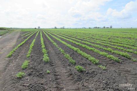 327 Moore Park Rd, Moore Park Beach, QLD 4670