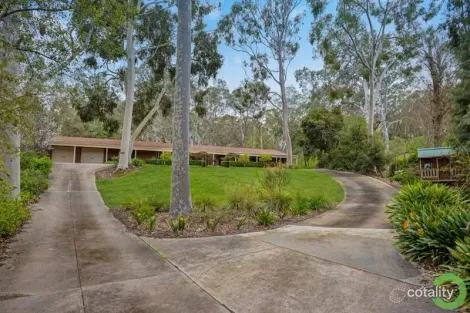 Property photo of 15 Shepherd Court Coromandel Valley SA 5051