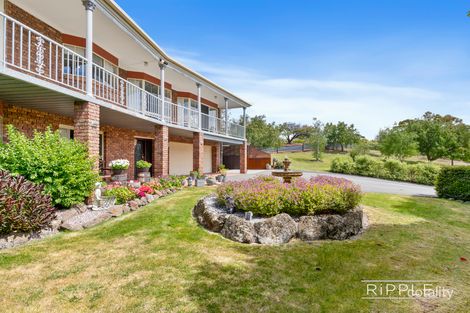 Property photo of 3 Roebourne Road Otago TAS 7017