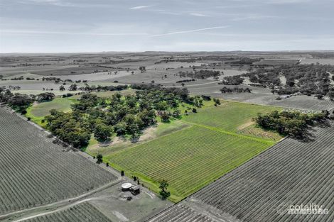 55 Koch Rd, Rowland Flat, SA 5352