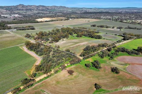 Property photo of 55 Koch Road Rowland Flat SA 5352