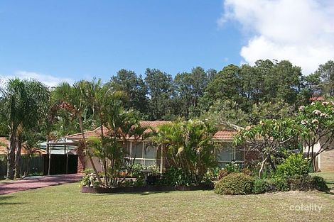 Property photo of 8/35 Buckingham Street Surry Hills NSW 2010