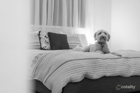 Property photo of 3B Beryl Street Balcatta WA 6021