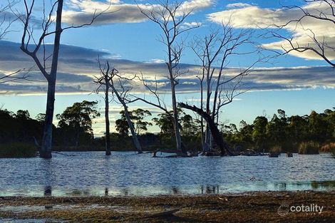 Property photo of 172 Nugent Road Buckland TAS 7190