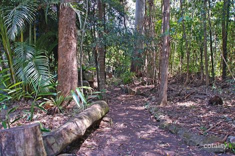 Property photo of 911 Kyogle Road Dum Dum NSW 2484