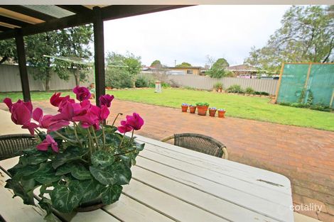 Property photo of 50 Crawford Street Ashmont NSW 2650