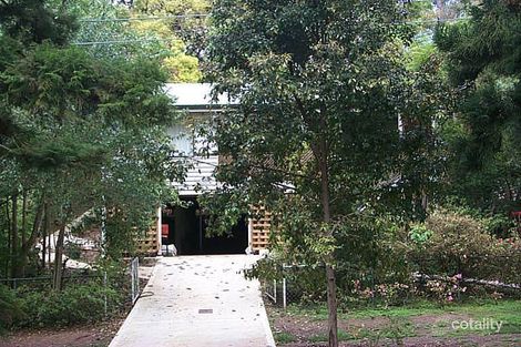 Property photo of 42 Todd Street Taringa QLD 4068